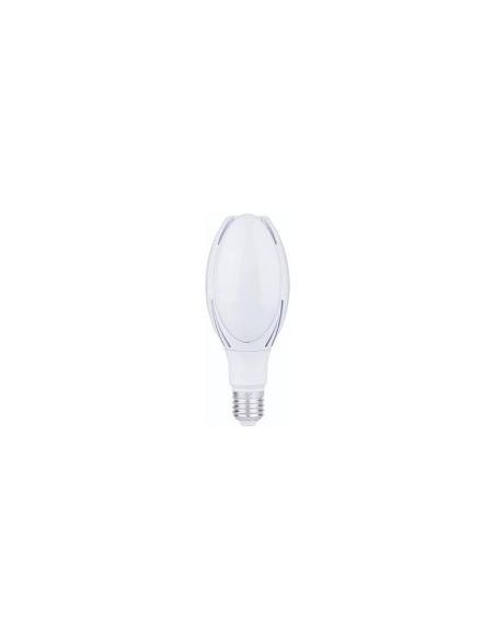 Interelec 402203 E27 Magnolia 50w/6500k           Fria   Led Lampara Tulipan (mezcladora