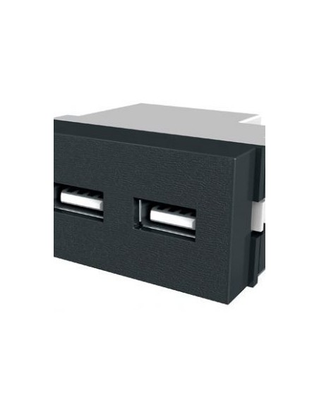 Rbc 2509 Mod Platinium 2 X Usb 2000ma - Gris P/jeluz Verona