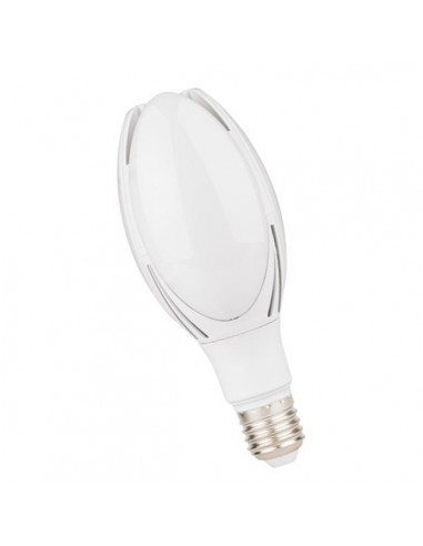 Interelec 402208 E40 Magnolia...
